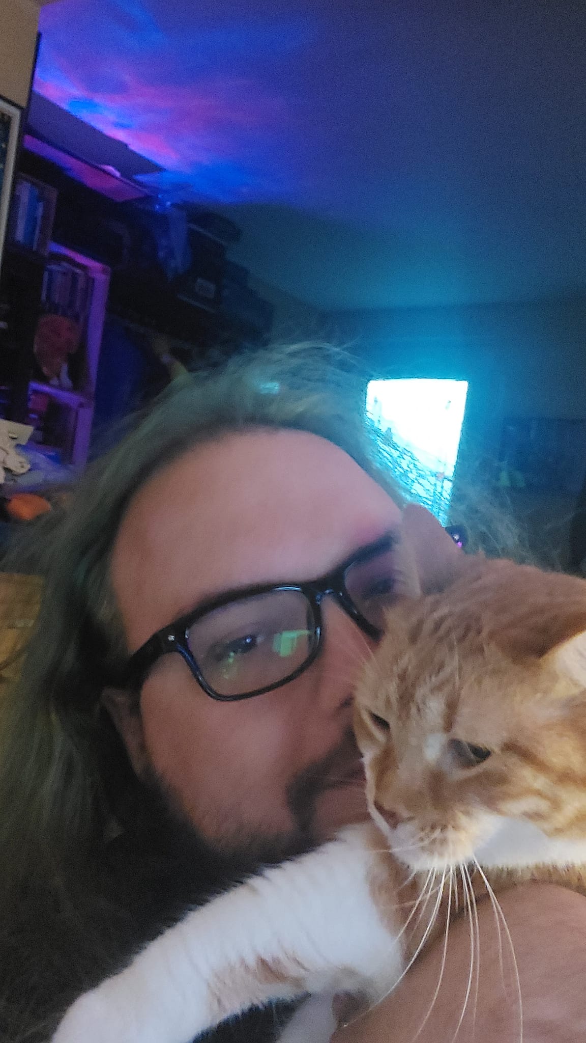 A man with green hair and a beard sits in a computer chair and holds an orange cat at eye level, Photo 4